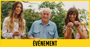la pétanque sur les toits